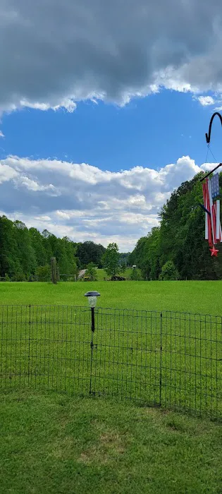 Rons RV Campground Picture 6