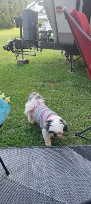 Rons RV Campground Picture 9