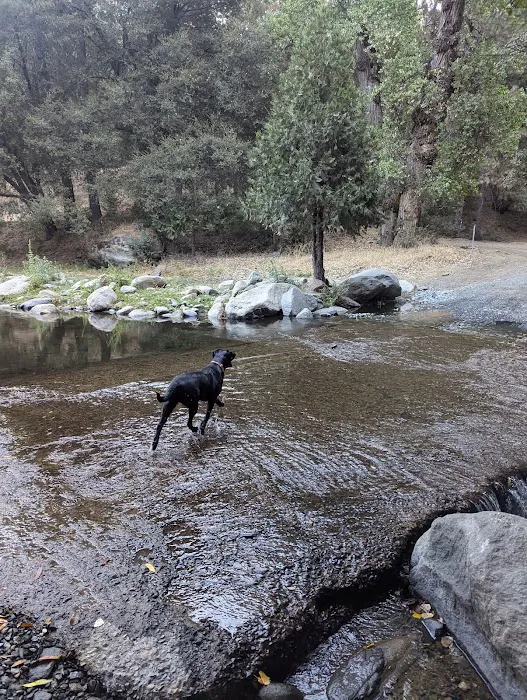 Cholollo Campground Picture 1