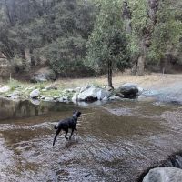 Cholollo Campground ico