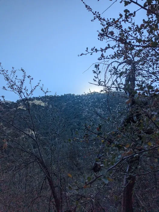 Cholollo Campground Picture 7