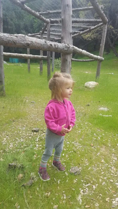 Cholollo Campground Picture 9