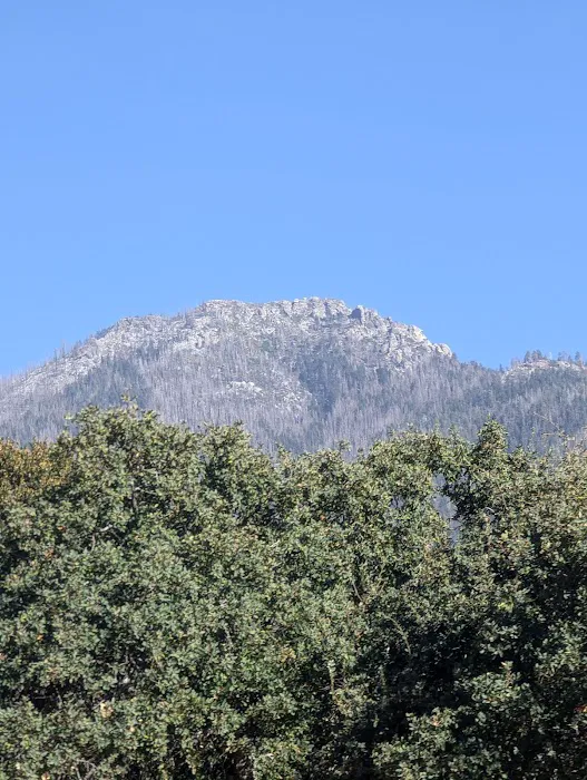 Cholollo Campground Picture 5