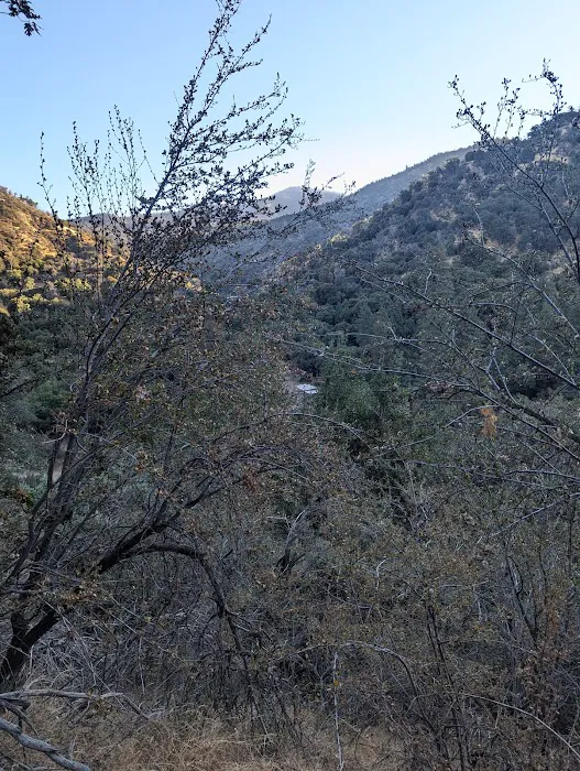 Cholollo Campground Picture 10