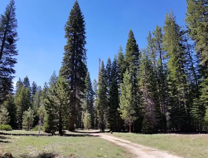 Upper Peppermint Dispersed Area Picture 3
