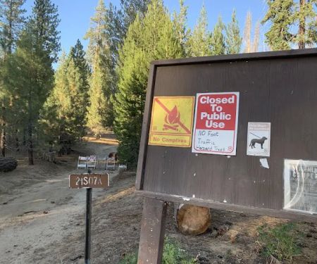 Upper Peppermint Dispersed Area