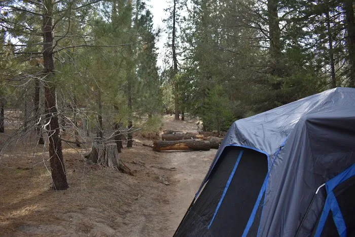Upper Peppermint Dispersed Area Picture 2