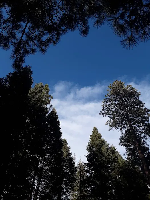 Upper Peppermint Dispersed Area Picture 8