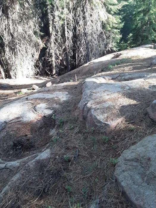 Upper Peppermint Dispersed Area Picture 6