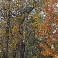 Windemere Mobile Home Park ico