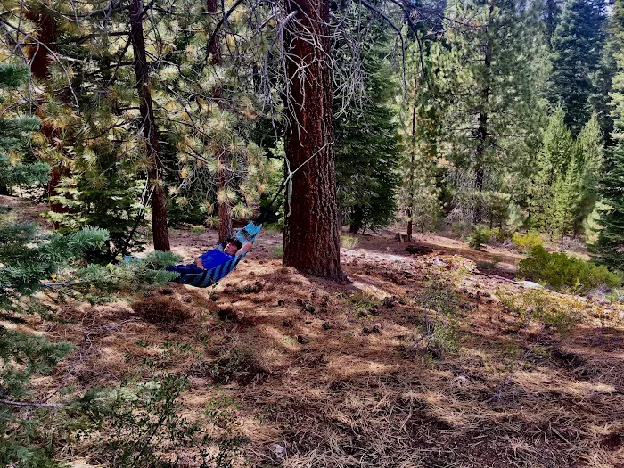 Upper Peppermint Campground Picture 2