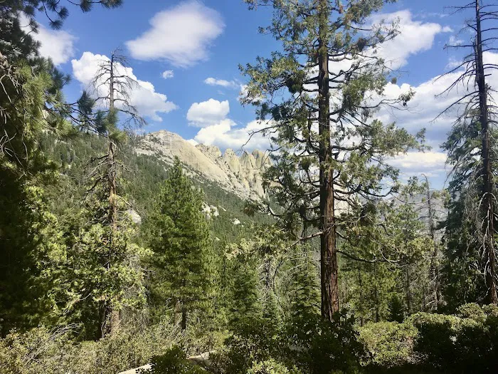 Upper Peppermint Campground Picture 1