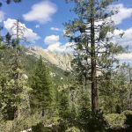 Upper Peppermint Campground