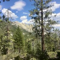 Upper Peppermint Campground ico
