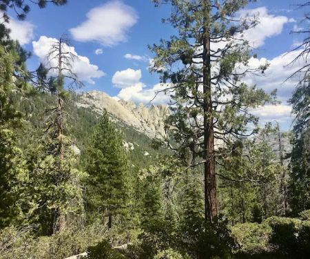 Upper Peppermint Campground