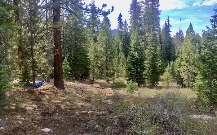 Upper Peppermint Campground Picture 7