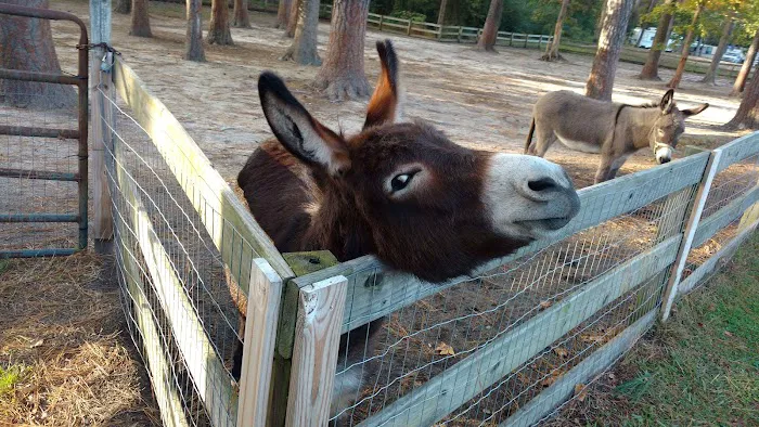 Kamper's Lodge Campground Picture 5