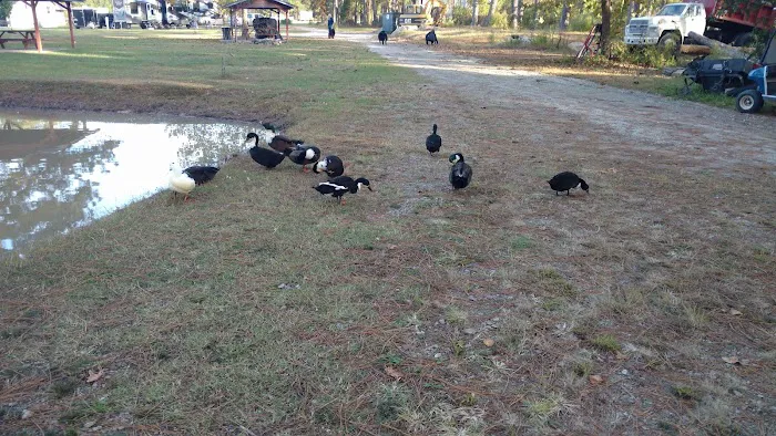 Kamper's Lodge Campground Picture 4