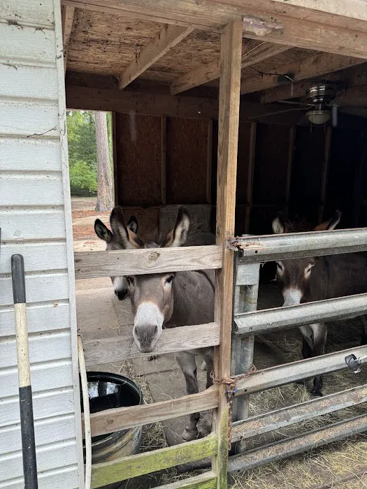 Kamper's Lodge Campground Picture 7