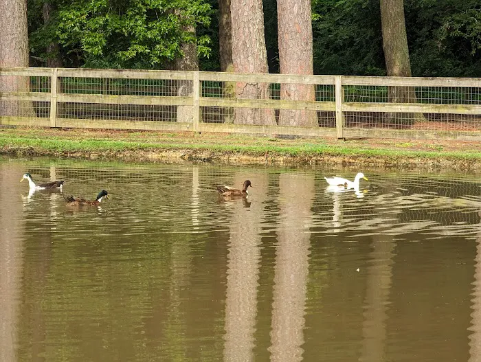 Kamper's Lodge Campground Picture 9