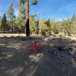 George bush campground