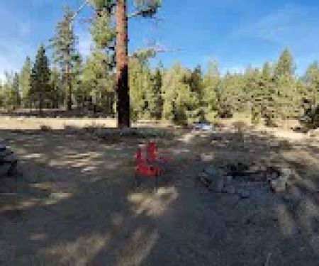 George bush campground