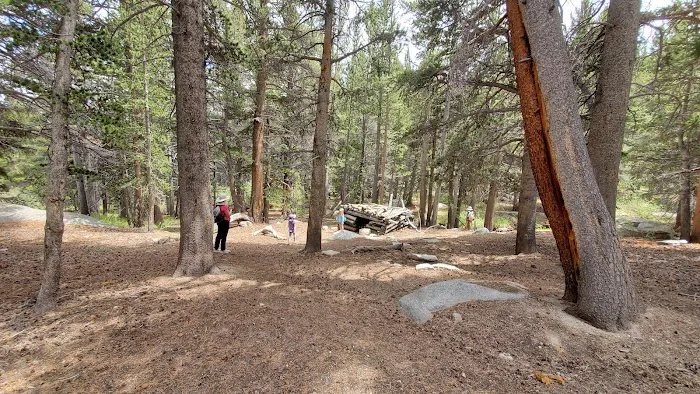George bush campground Picture 2