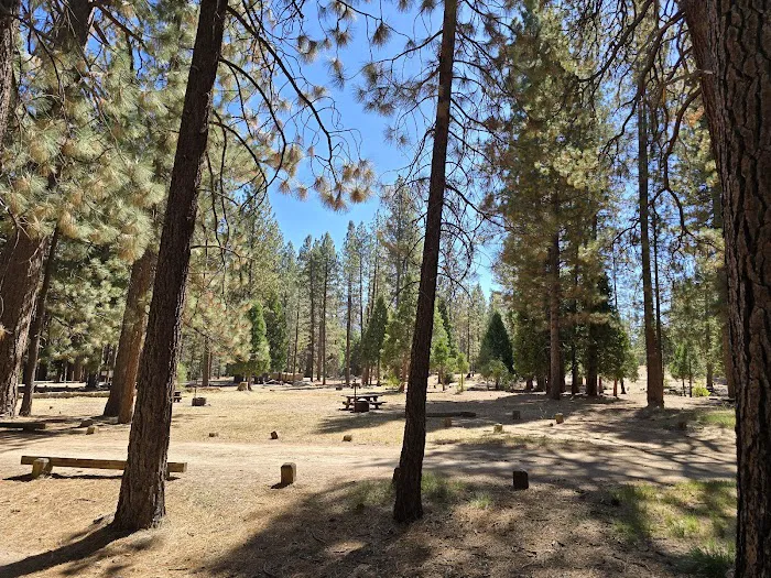 Lower Peppermint Campground Picture 2