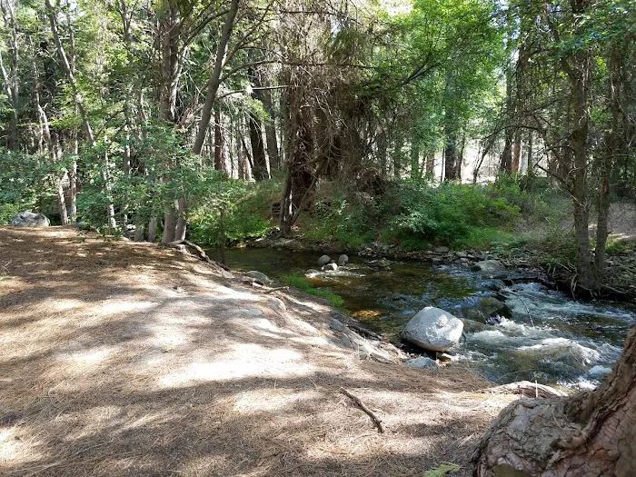 Lower Peppermint Campground Picture 8