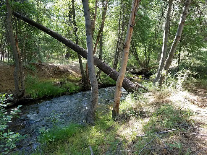 Lower Peppermint Campground Picture 7