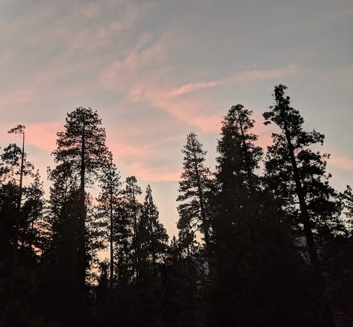 Sheep Creek Campground Picture 9