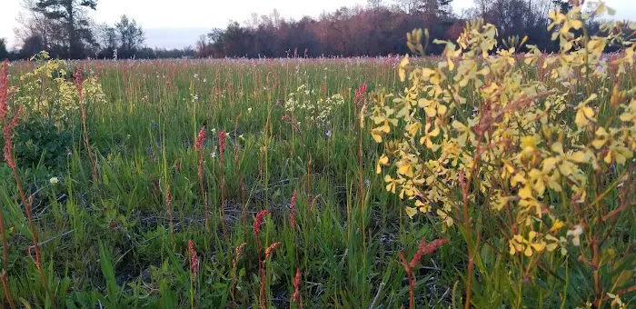 Manning RV Campsites Picture 5