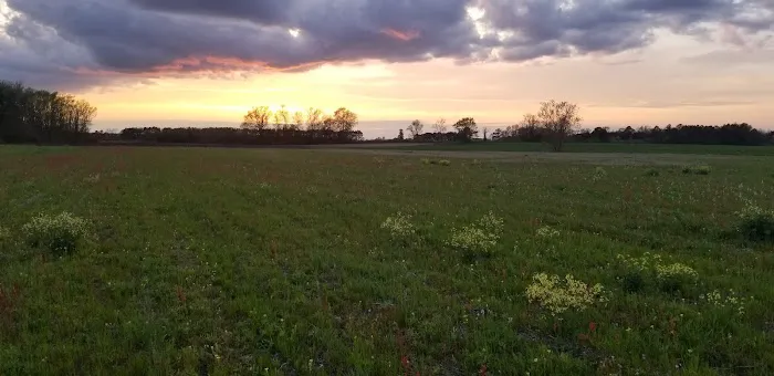 Manning RV Campsites Picture 4