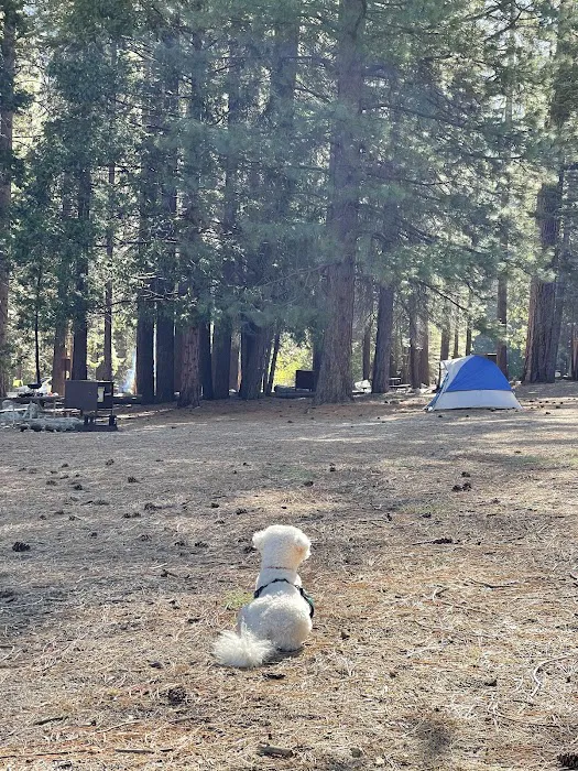 Sentinel Campground Picture 1