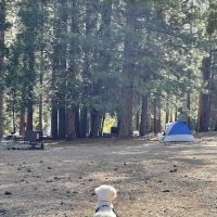 Sentinel Campground ico