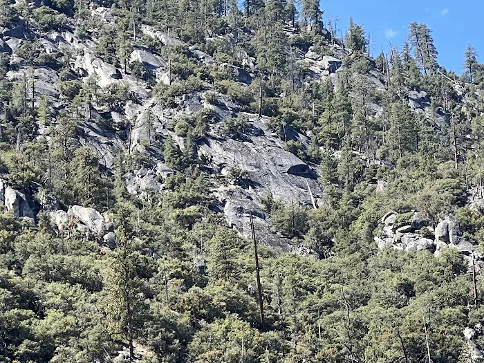 Sentinel Campground Picture 10