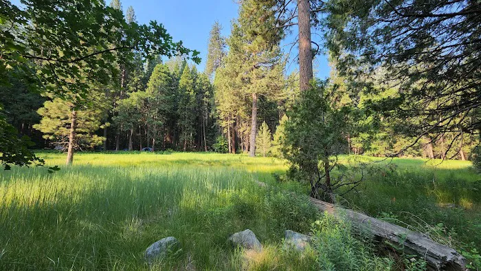 Sentinel Campground Picture 7