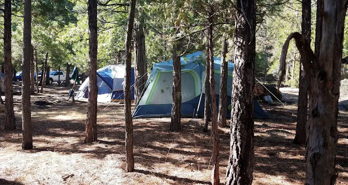 Canyon View Campground Picture 2