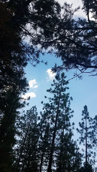 Canyon View Campground Picture 7