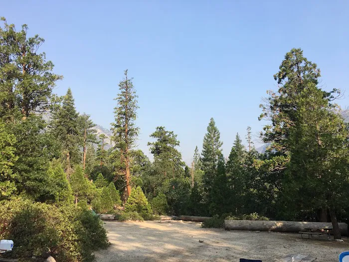 Canyon View Campground Picture 9