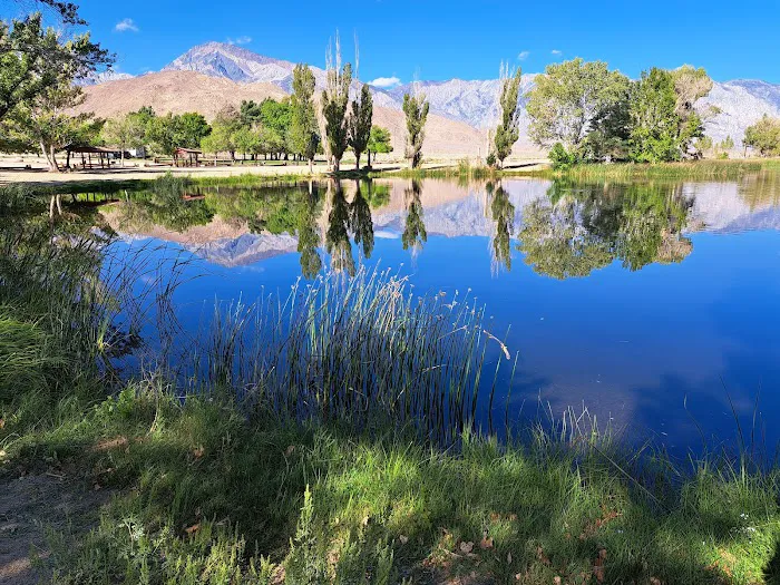 Brown's Millpond Campground Picture 5