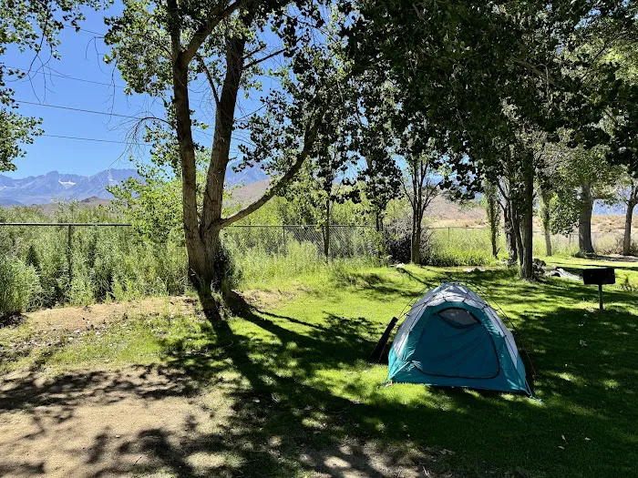 Brown's Millpond Campground Picture 2