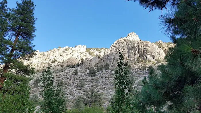 Bitterbrush Campground Picture 1
