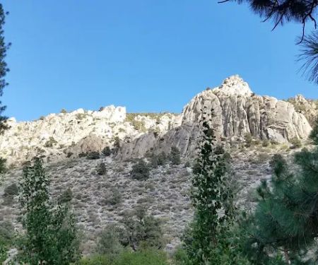 Bitterbrush Campground
