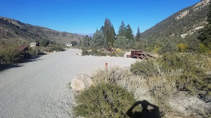 Bitterbrush Campground Picture 2