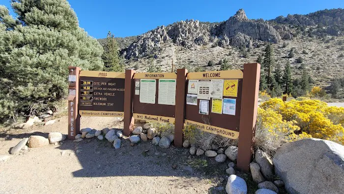 Bitterbrush Campground Picture 4