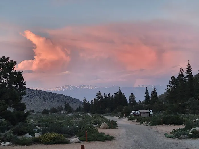Bitterbrush Campground Picture 8