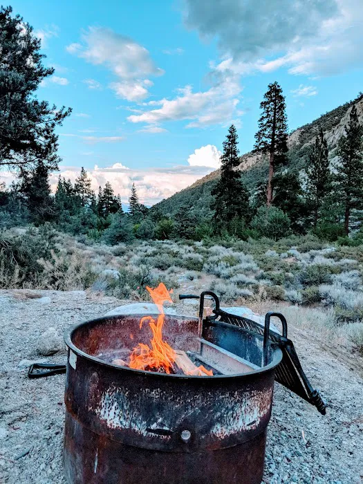 Bitterbrush Campground Picture 9