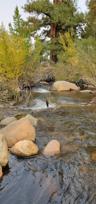 Bitterbrush Campground Picture 7