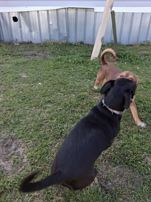 Elks Mobile Home Park Picture 2